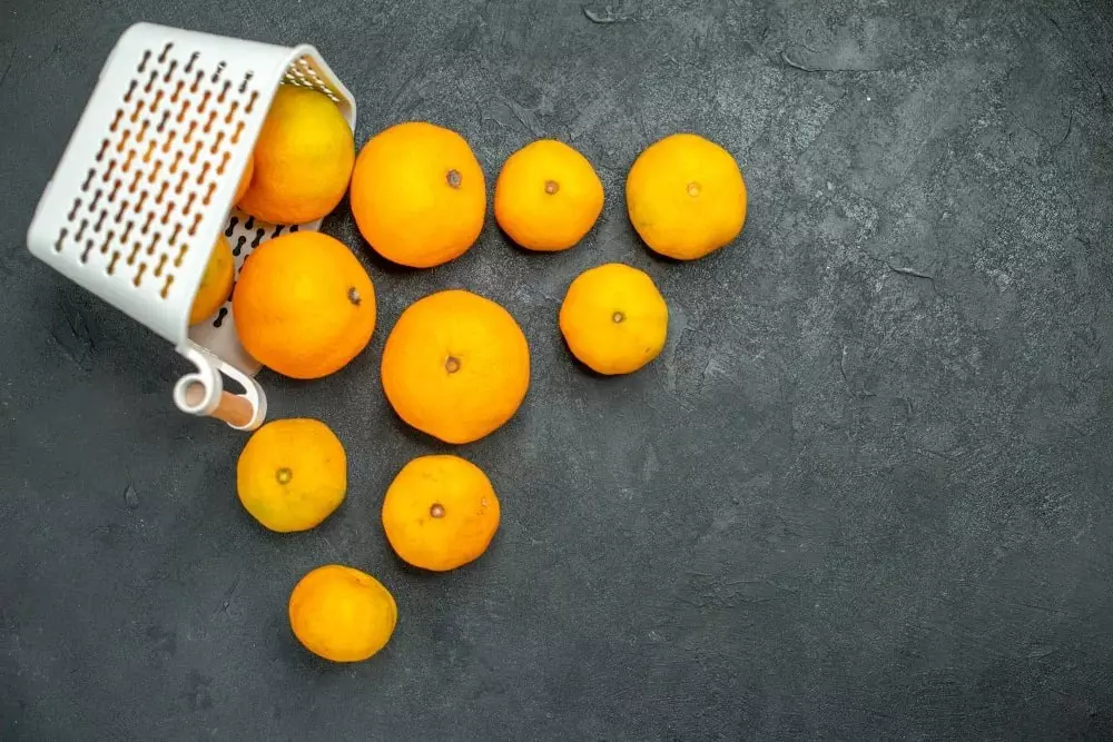Máy Ép Trái Cây Multifruit: Cách Thức Nâng Cao Chất Lượng Dịch Vụ Khách Hàng