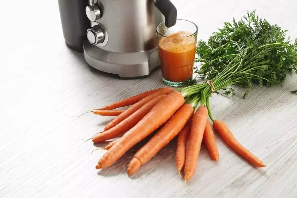 Máy Ép Trái Cây Multifruit: Hướng Dẫn Tìm Kiếm Nguồn Nguyên Liệu Chất Lượng Để Kinh Doanh Thành Công