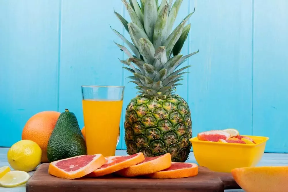 Máy ép trái cây Multifruit: Công nghệ và xu hướng phát triển máy ép hiện đại