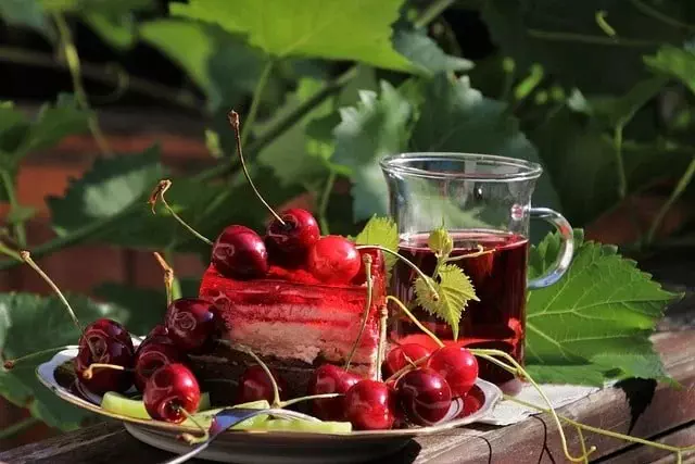 Máy ép trái cây Multifruit – Chiến lược phát triển kinh doanh bền vững