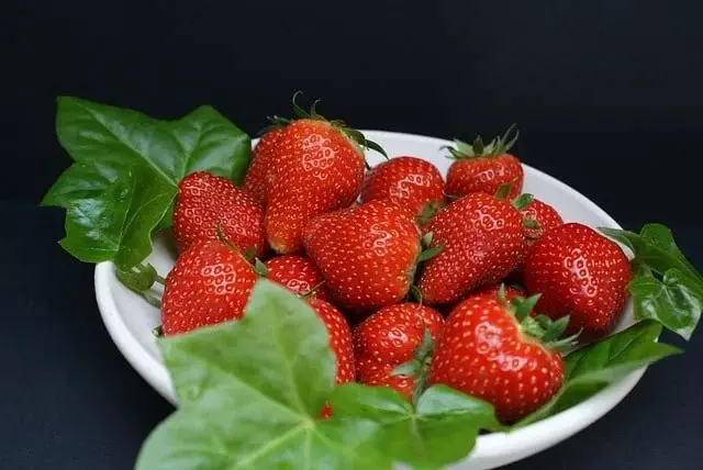 Máy Ép Trái Cây Multifruit: Phân Tích Nhu Cầu và Xu Hướng Tiêu Dùng Hiện Đại