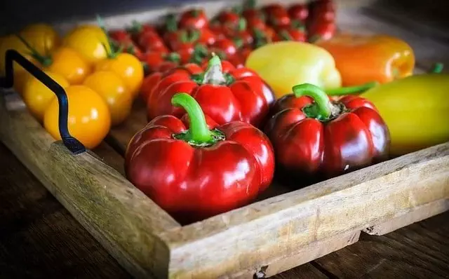 Máy Ép Trái Cây Multifruit: Phân Tích Nhu Cầu và Xu Hướng Tiêu Dùng Hiện Đại